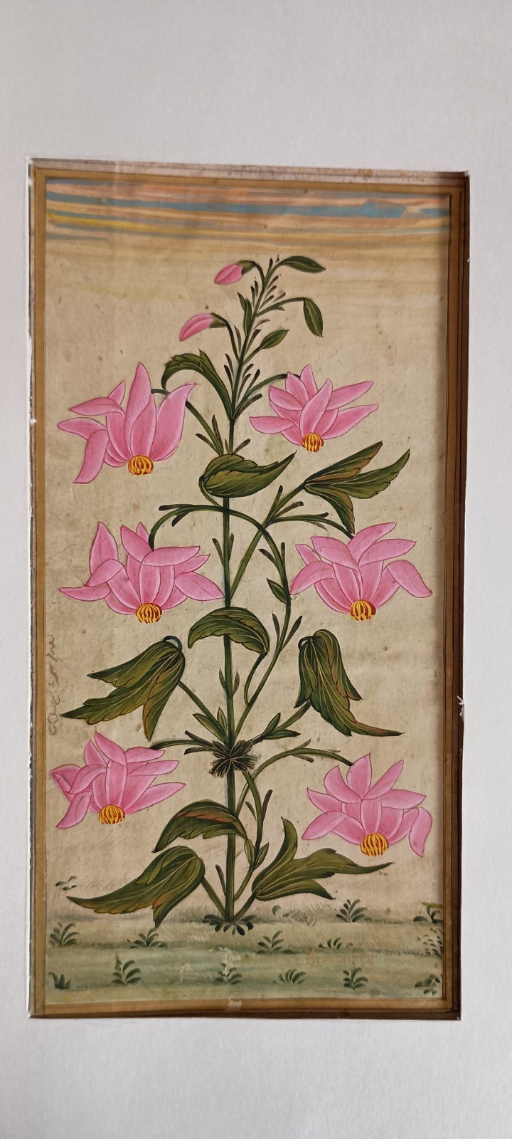 Mughal Miniature Floral Painting – paper – labeled hand made painting