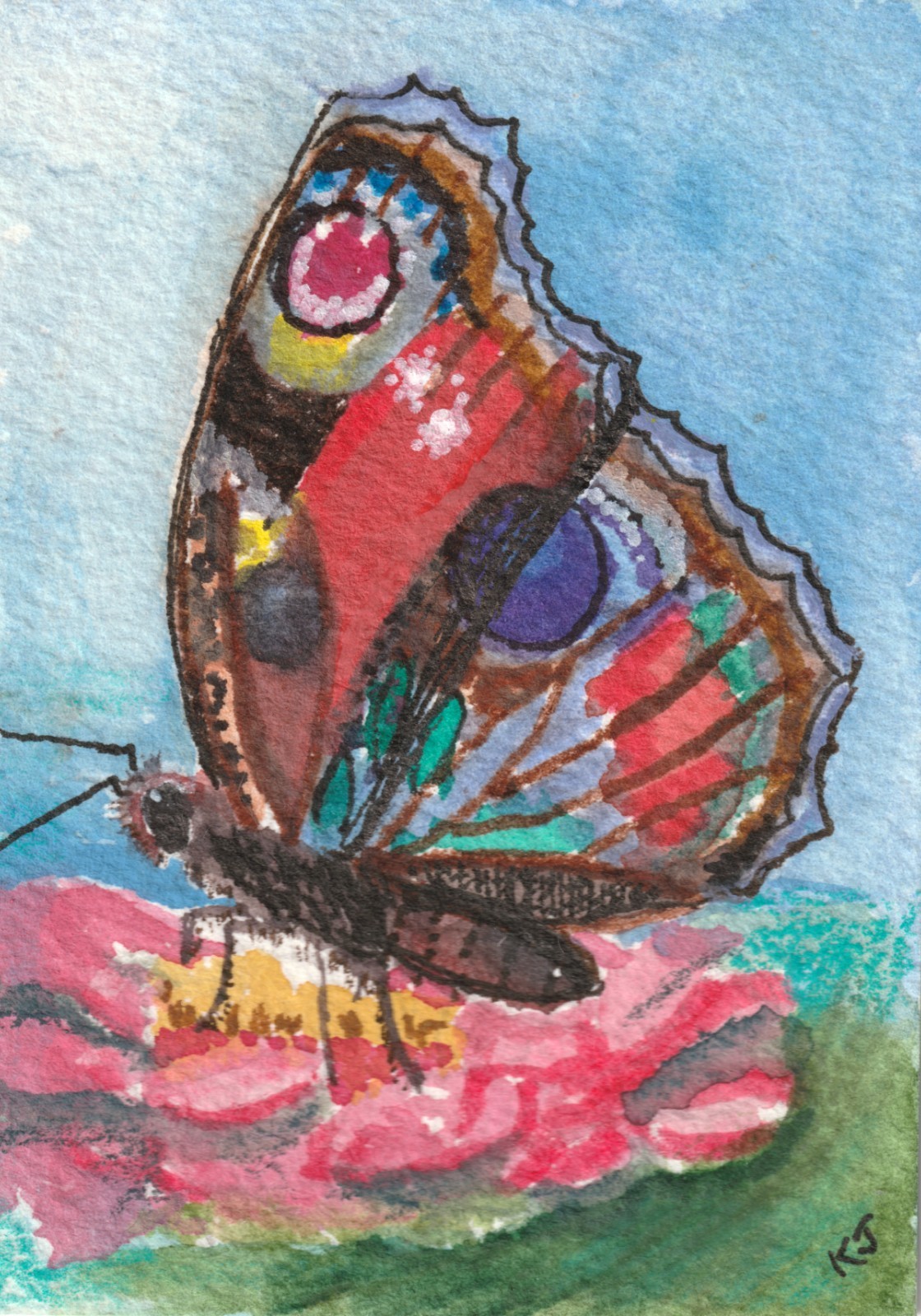 ACEO Original Butterfly Peacock Summer Insect Watercolor Painting by K Jackson