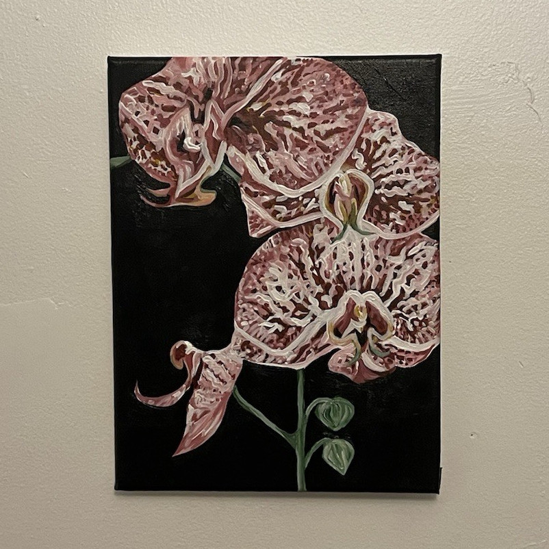( 9×12 ) Original Orchid Flower painting on Canvas