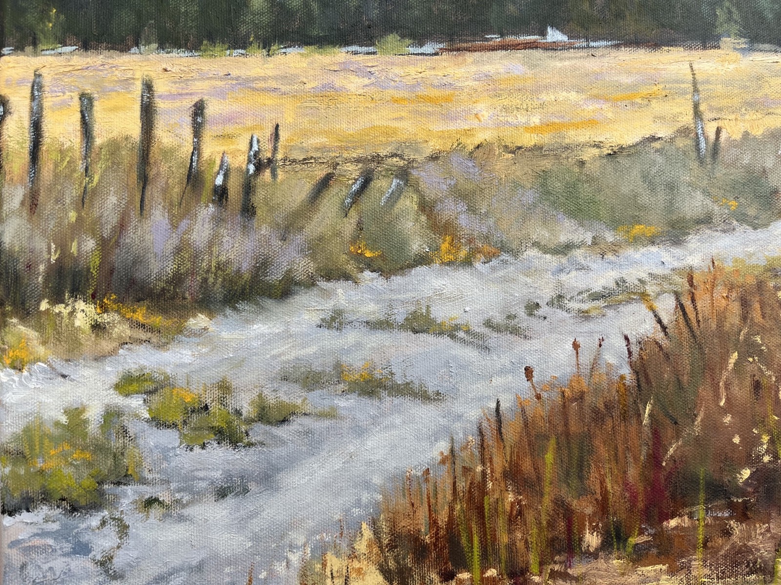 Original Oil Painting Petaluma Hill Rd, Gravel Roads Winter Mellon Fields 18×24″