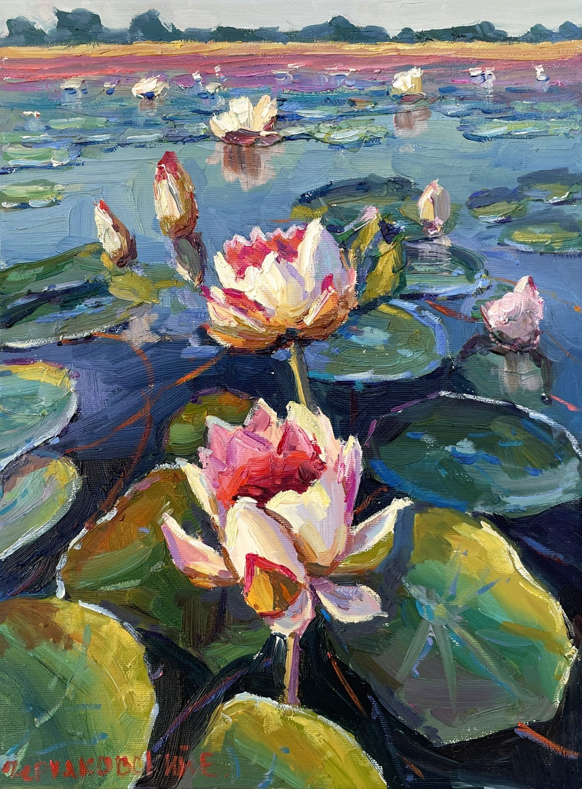 Lilies pond painting Original art Impressionism Oil on canvas by E Chernyakovsky