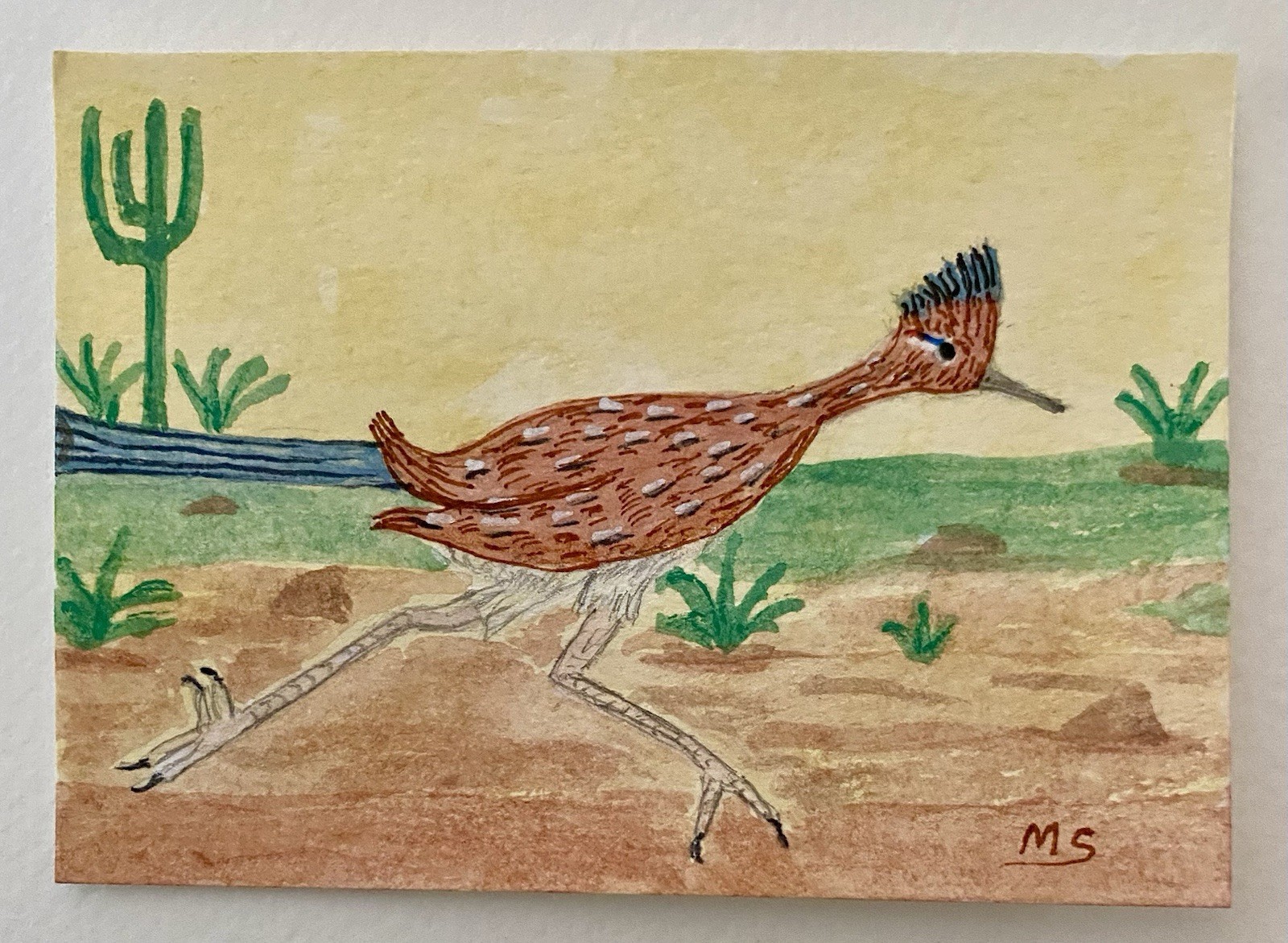 Road Runner ACEO Original Painting, Wild Bird Nature Art, Wildlife Bird Art
