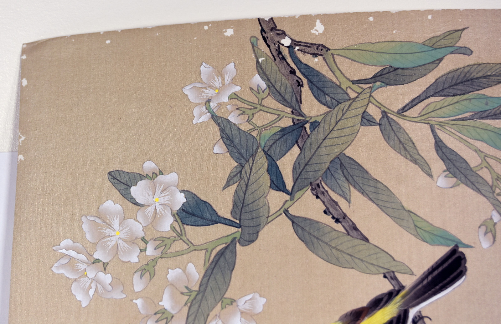 24″ Antique Chinese Watercolor Painting Silk Yellow Bird Canary Pink Magnolia