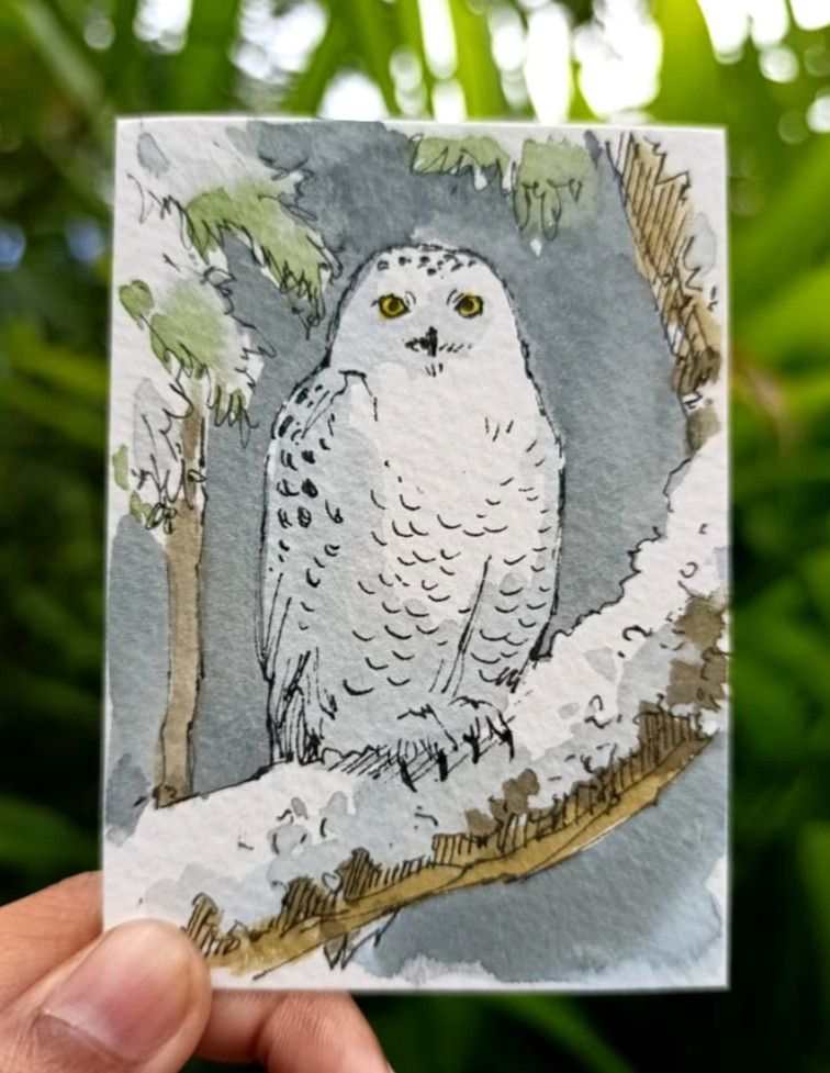 ACEO Original Watercolor Painting Snowy Owl Bird OOAK Miniature Art Card Ink