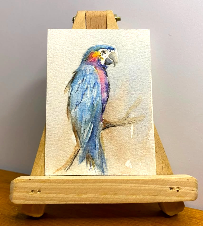 ACEO Original Watercolor Painting Blue Macaw Parrot Bird Miniature Art OOAK