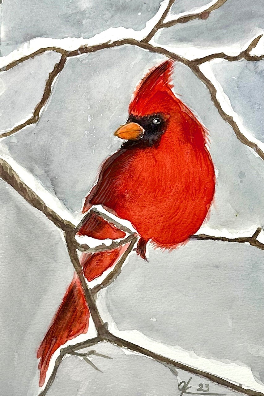 Original panting Red cardinal bird, bright red with crest animal 16*24 cm