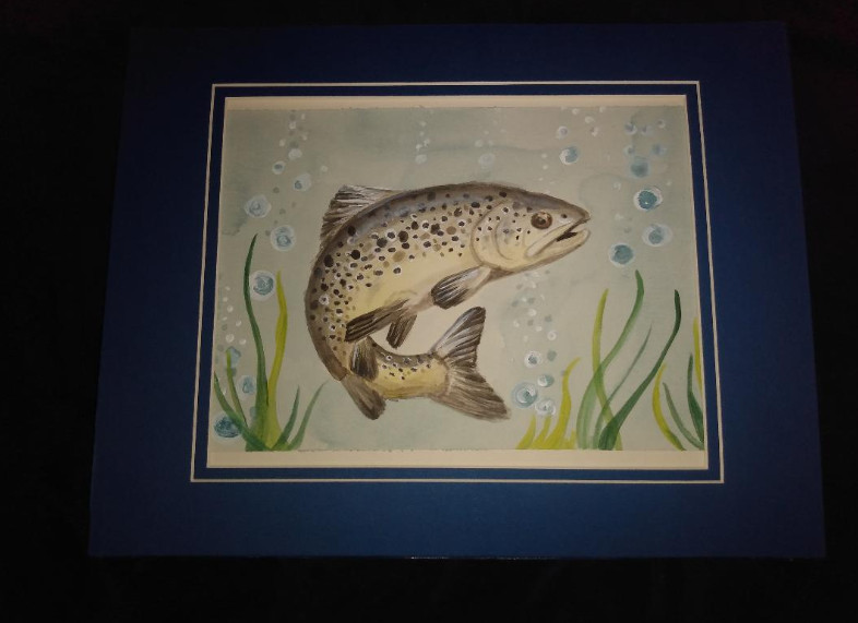 Acrylic Original Painting Set wildlife fish/Trout 11×14 matted illustrations