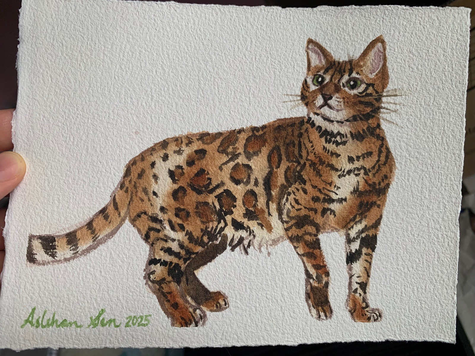 Custom pet portrait commission original watercolor painting sympathy gift art