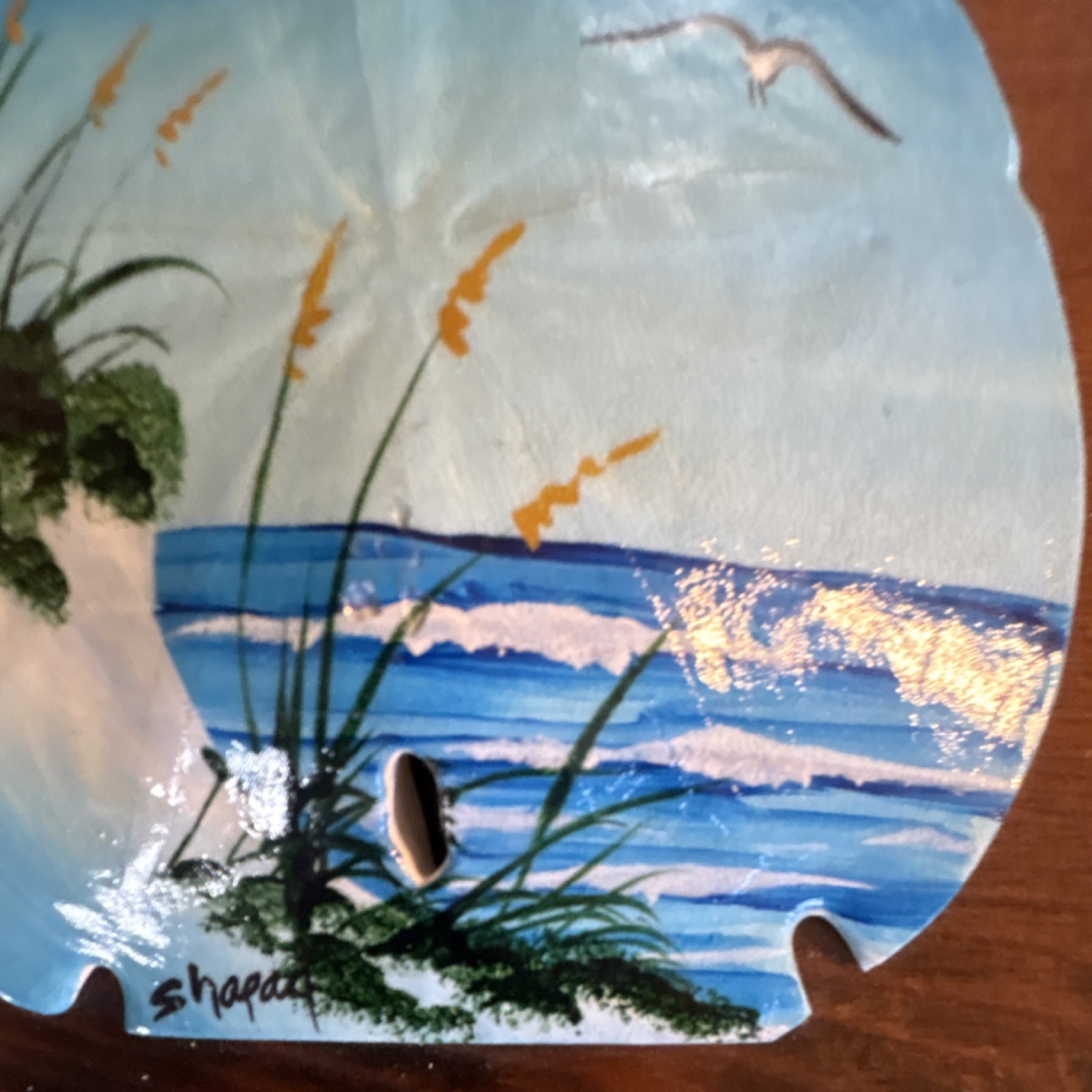 Hand Painted Sand Dollar Shell Beach Scene Signed Shapac Wood Plaque