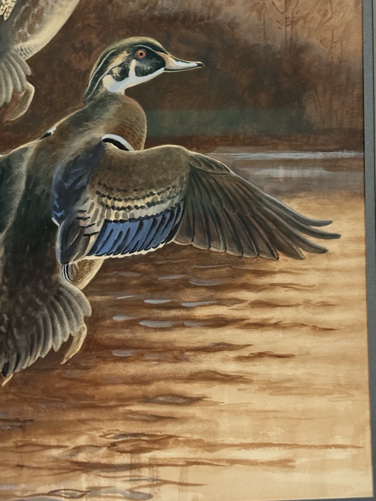 George Miksch Sutton Original Bird/Duck Art Painting Wood Ducks, Signed, Framed