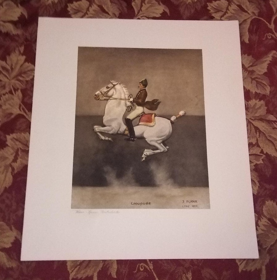 1960s Josef Plank Austrian Spanish Lipizzaner Riding School Silk Lithos Lot of 4