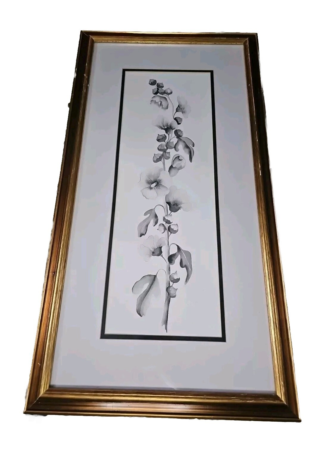 Water Color Black White Bonantical Orginial Painting By Vivian D’elia
