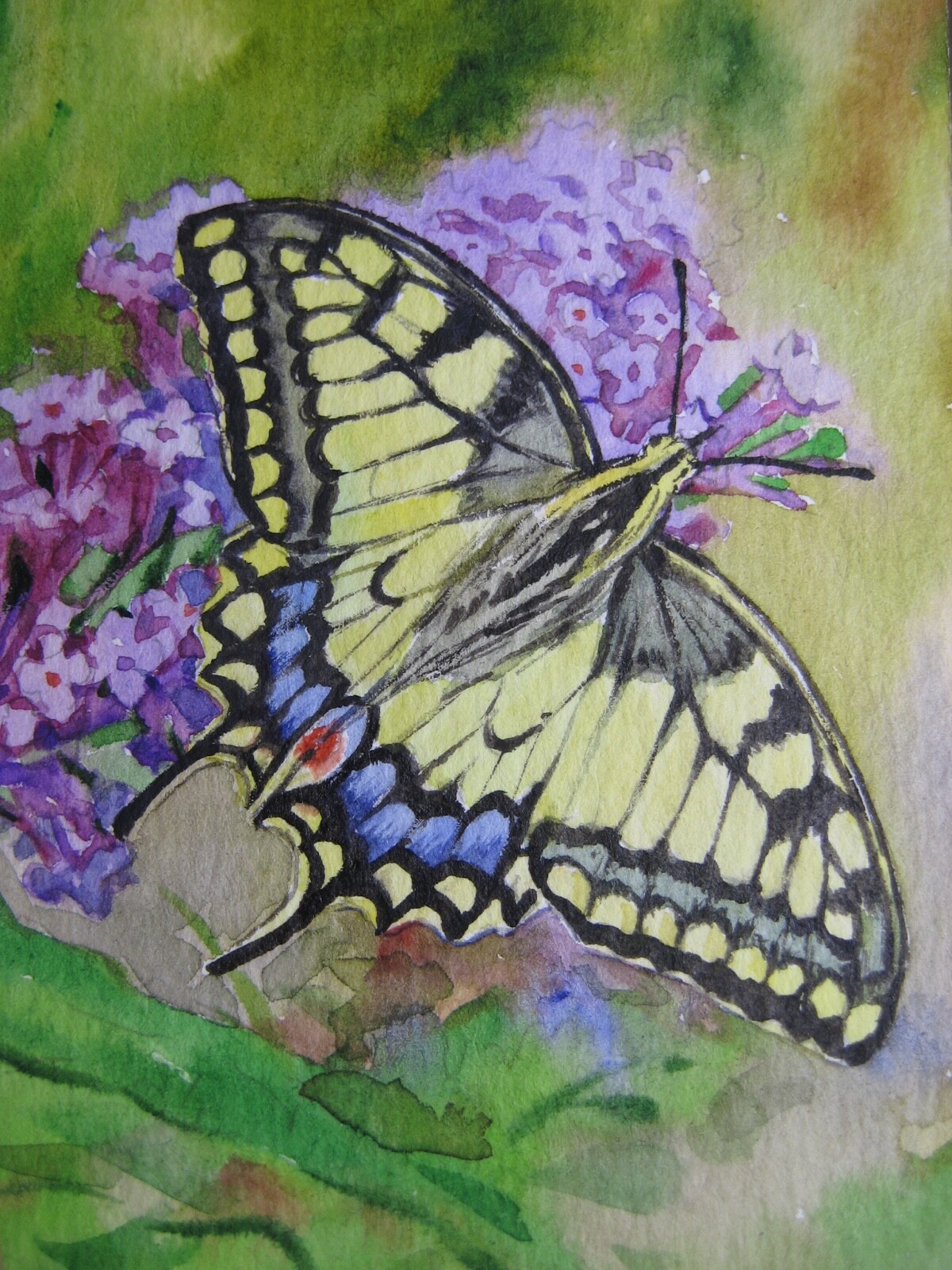 Watercolor Painting Butterfly Purple Flower Nature ACEO Art