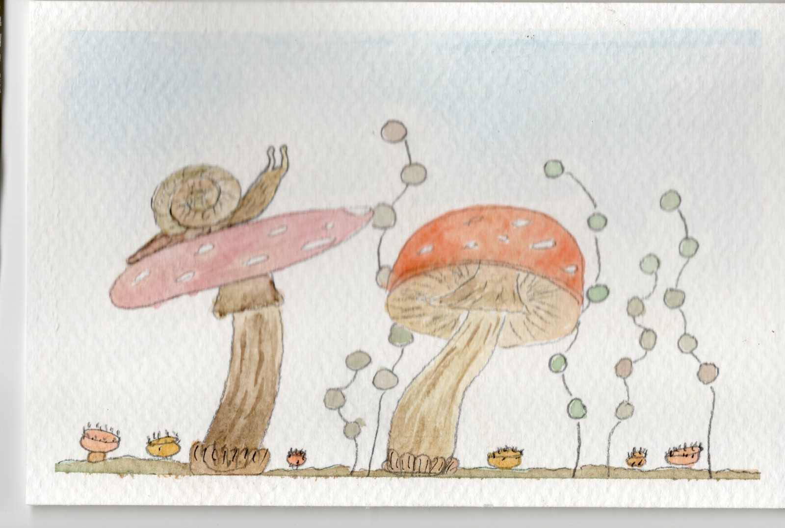 ACEO Limited Edition Art Print Nature Numbered Prints Watercolor Ink 1 of 12