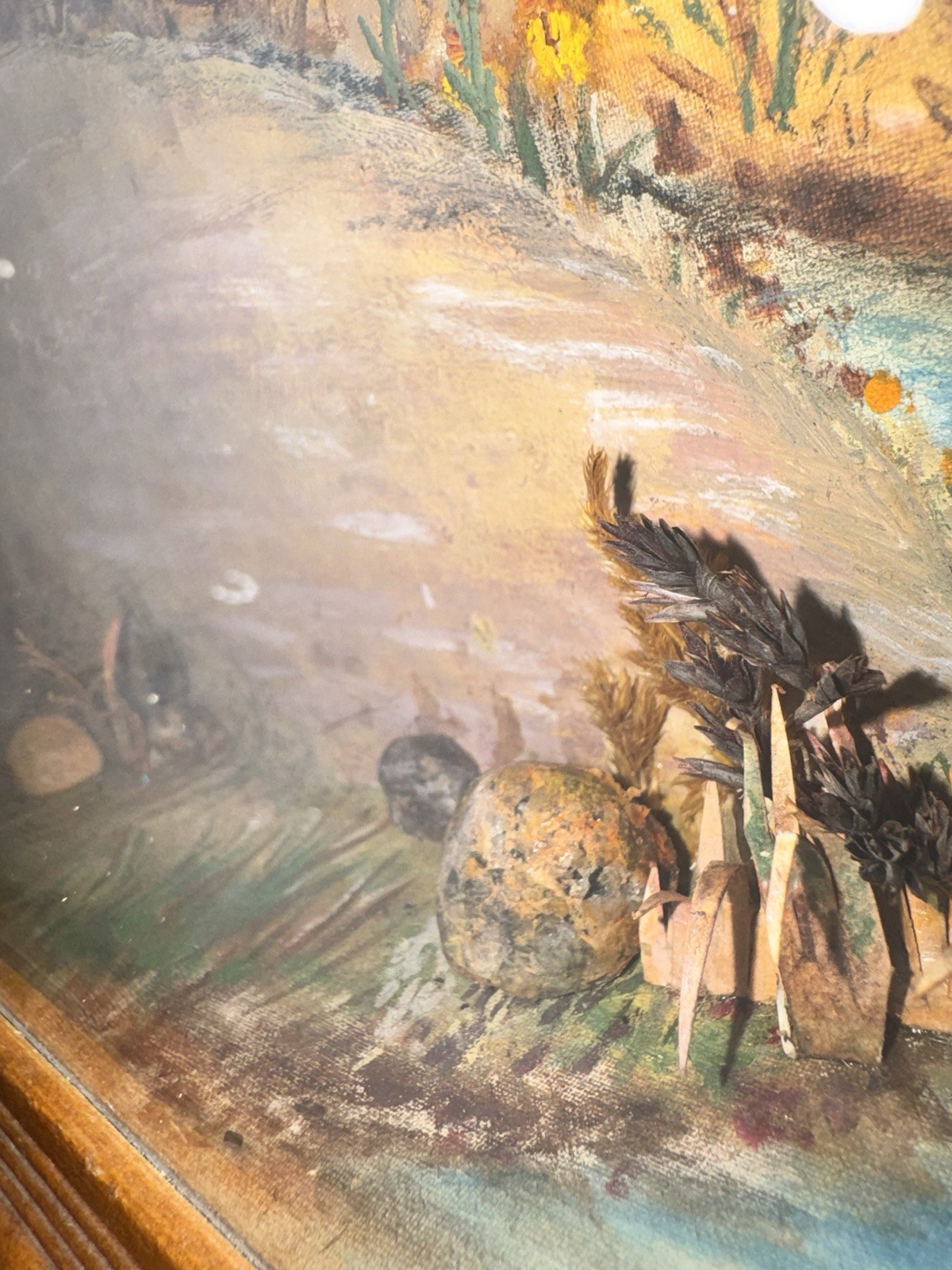 Mrs Willard H Doty Pheasant Shadow Box Diorama Folk Art Real Feather Bird