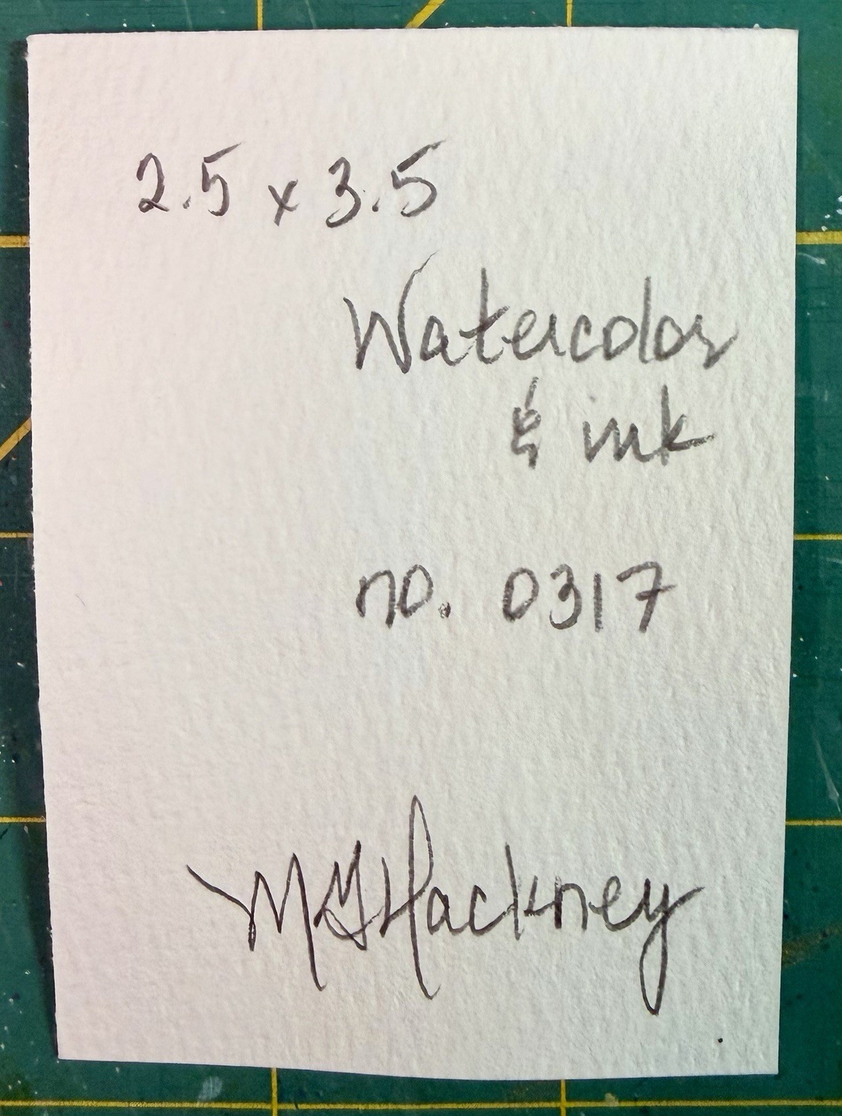ACEO Painting by M. Hackney Flowers Botanical Watercolor Ink, Signed, 2.5×3.5″