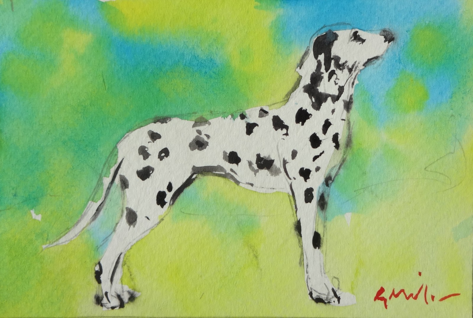 GERRY MILLER. “Dalmation” watercolor painting on paper. 13x9cm.