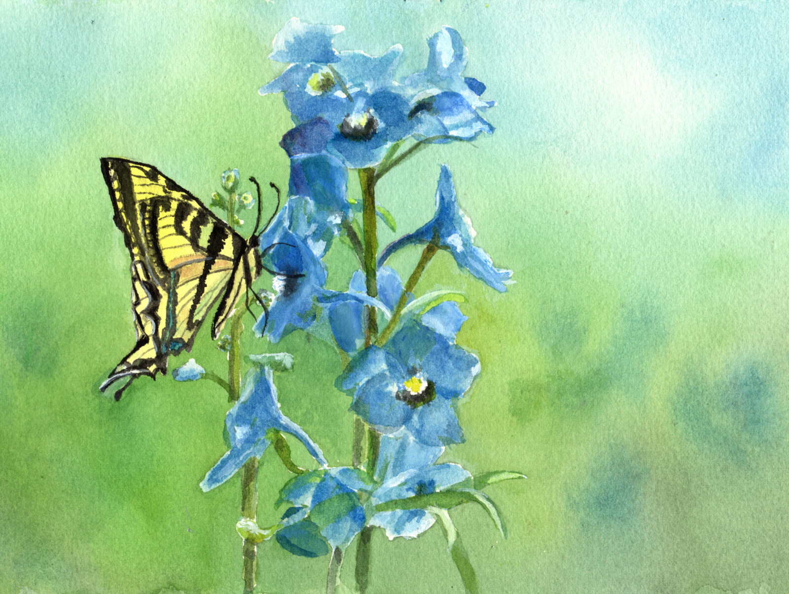 8×10 Tiger Swallowtail Butterfly & Delphinum flowers print on linen card stock