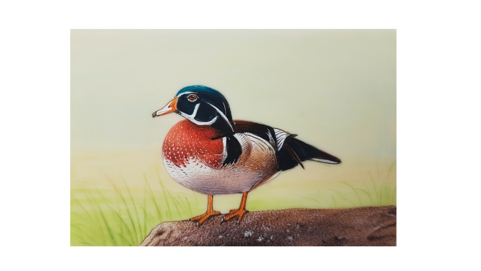 Original Wood Duck Wild Life Indian Handmade Miniature Painting Wall Décor Art