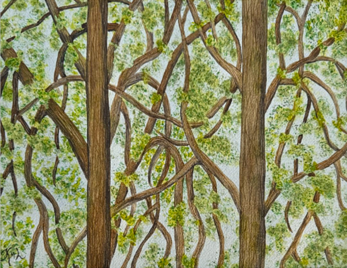 PAINTING WATERCOLOR 11X14 AND DOUBLE MAT 16X20 FOREST TREES GREEN BROWN SPRING