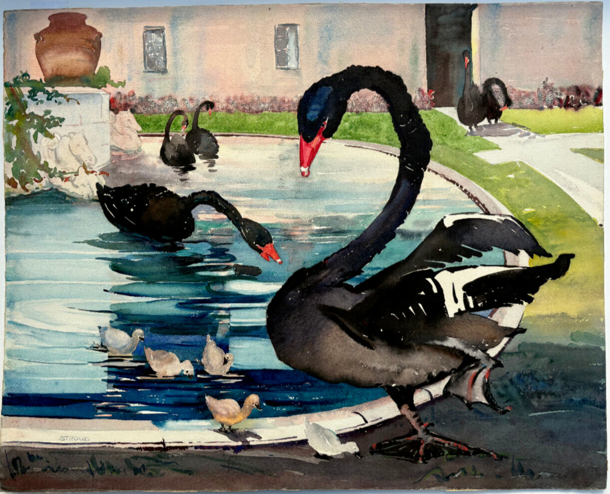 Black «Swans and Signets»-17 3/4 x 23 1/4 Watercolor Painting-1939-Clara Stroud