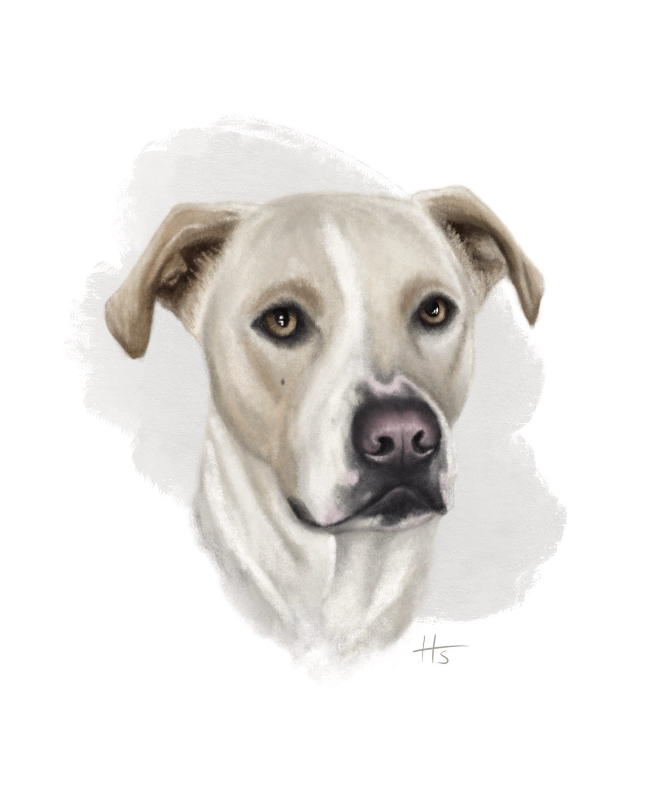 Original 8×10 Custom Handdrawn Pet Portrait Gift/Memorial/Anniversary in color