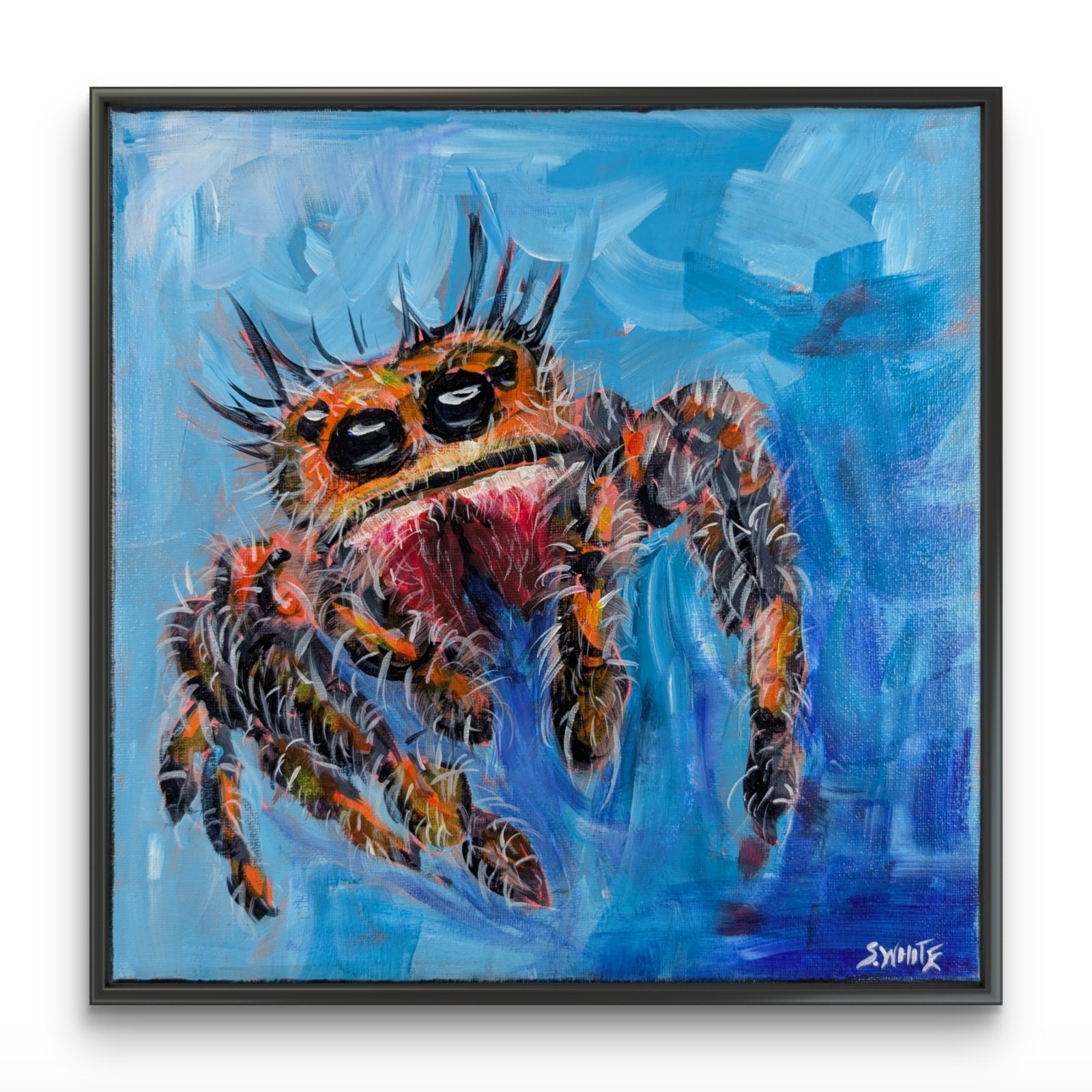 Jumping Spider Original Painting 12×12 Canvas Neo Expressionist Modern SWhite