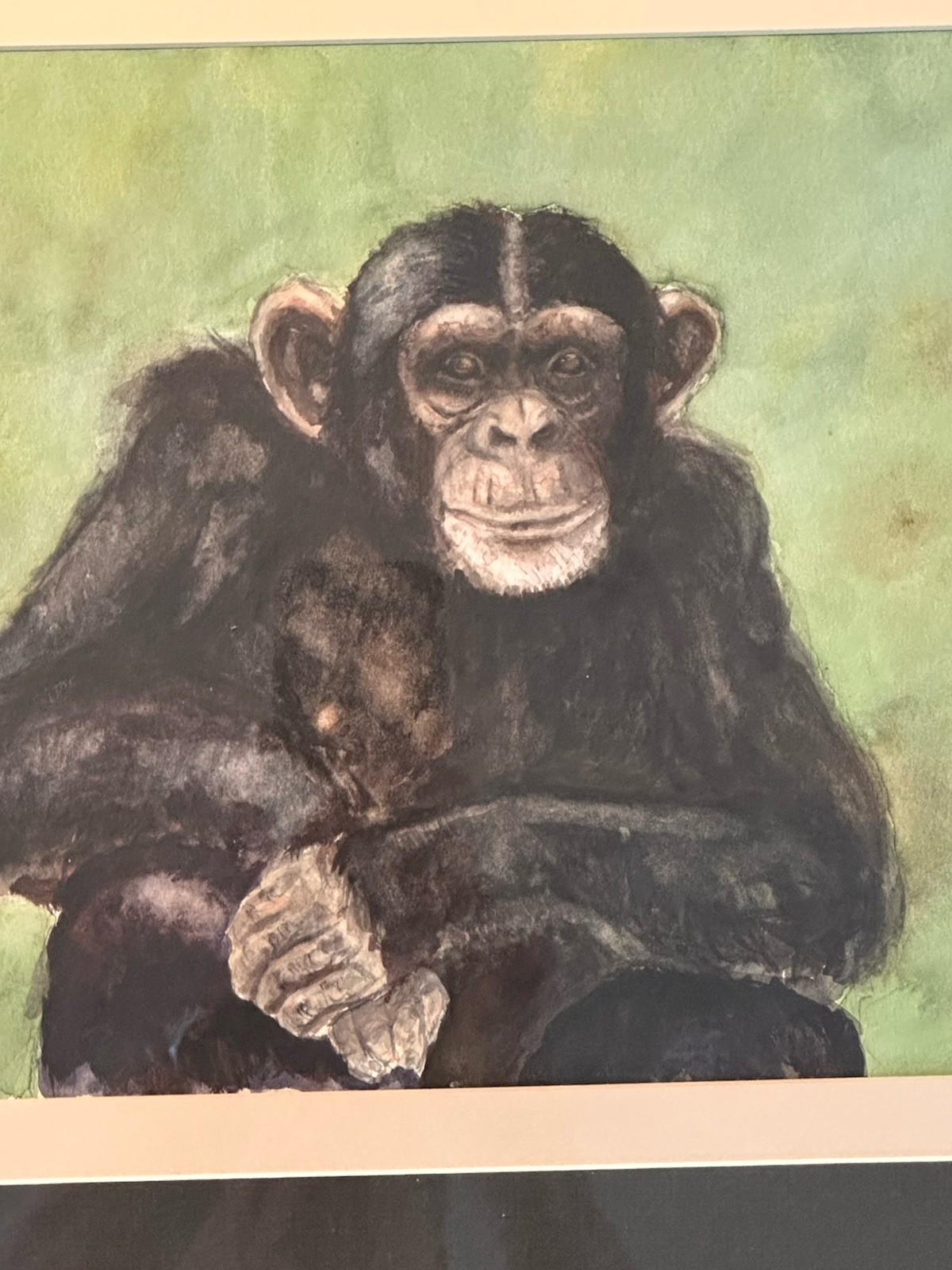 Original Watercolor “Chimpanzee” Zoo Animals Monkey Modern Frame