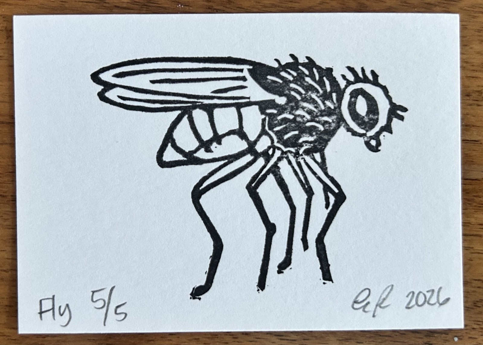 aceo original art by Emily Beck, Fly 5/5, linocut insect art, 3.5×25″