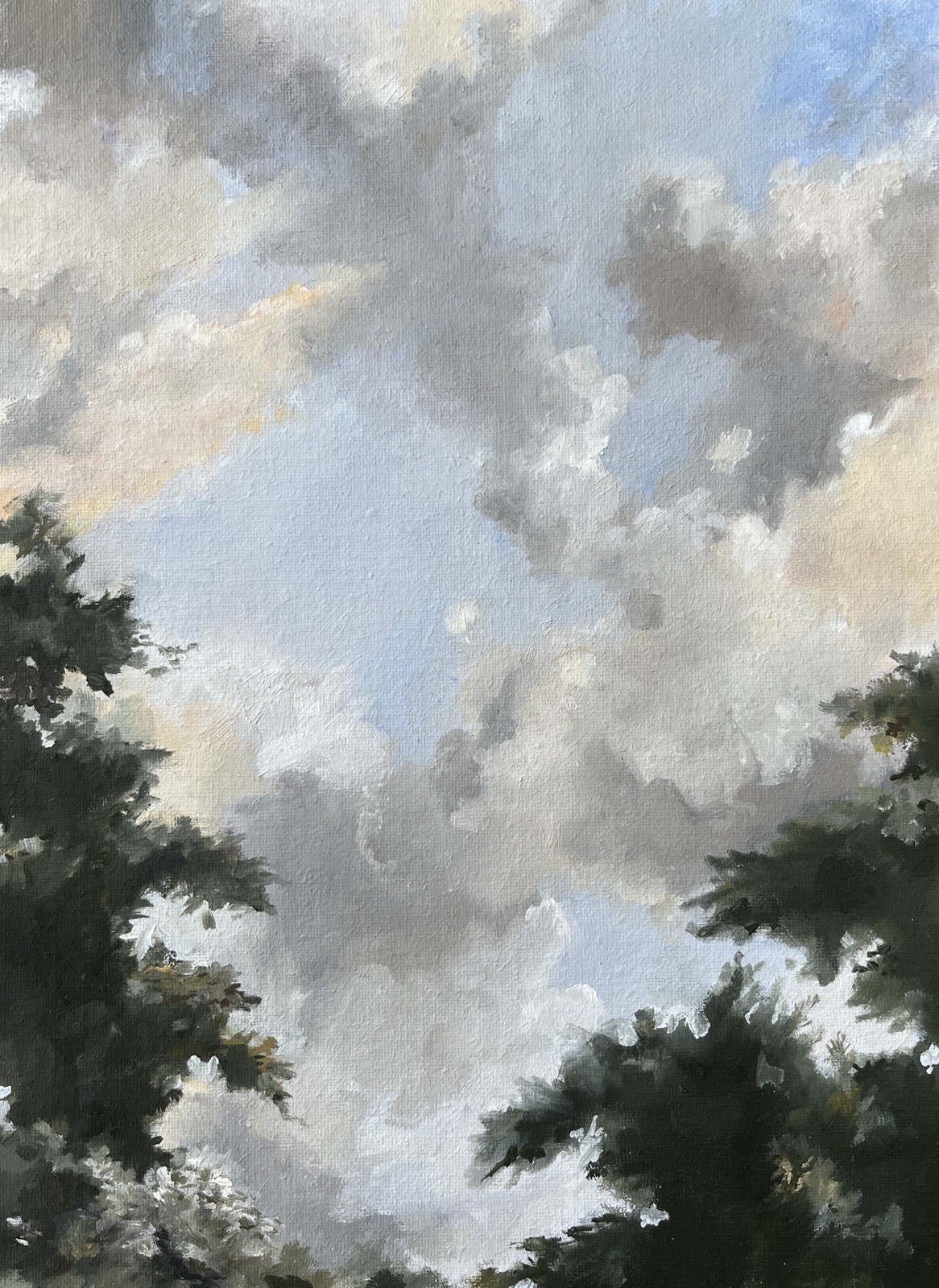 Through the Trees Original Oil Painting Clouds Collect Contemporary Fine Art