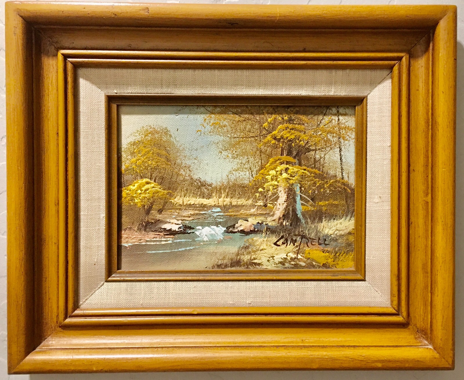 Fall Colors by Phillip Cantrell
