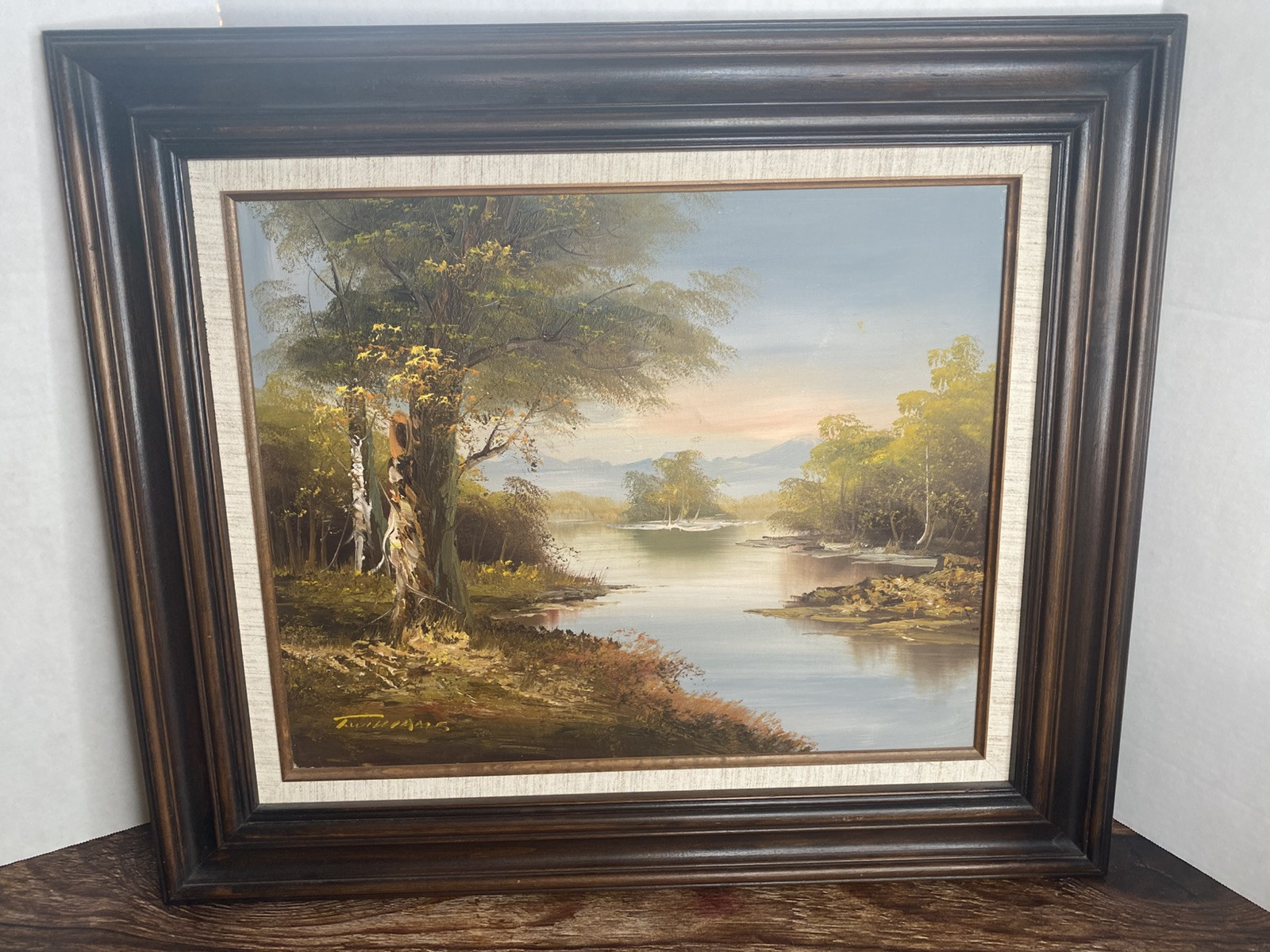 Scenic Rivers Wildlife T Williams Oil Painting 24×27.5” Frame