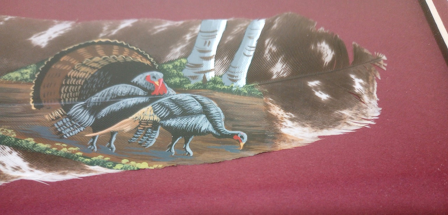 Beautiful Framed Hand-Painted Wild Turkey Feather Wildlife Art, One of a Kind