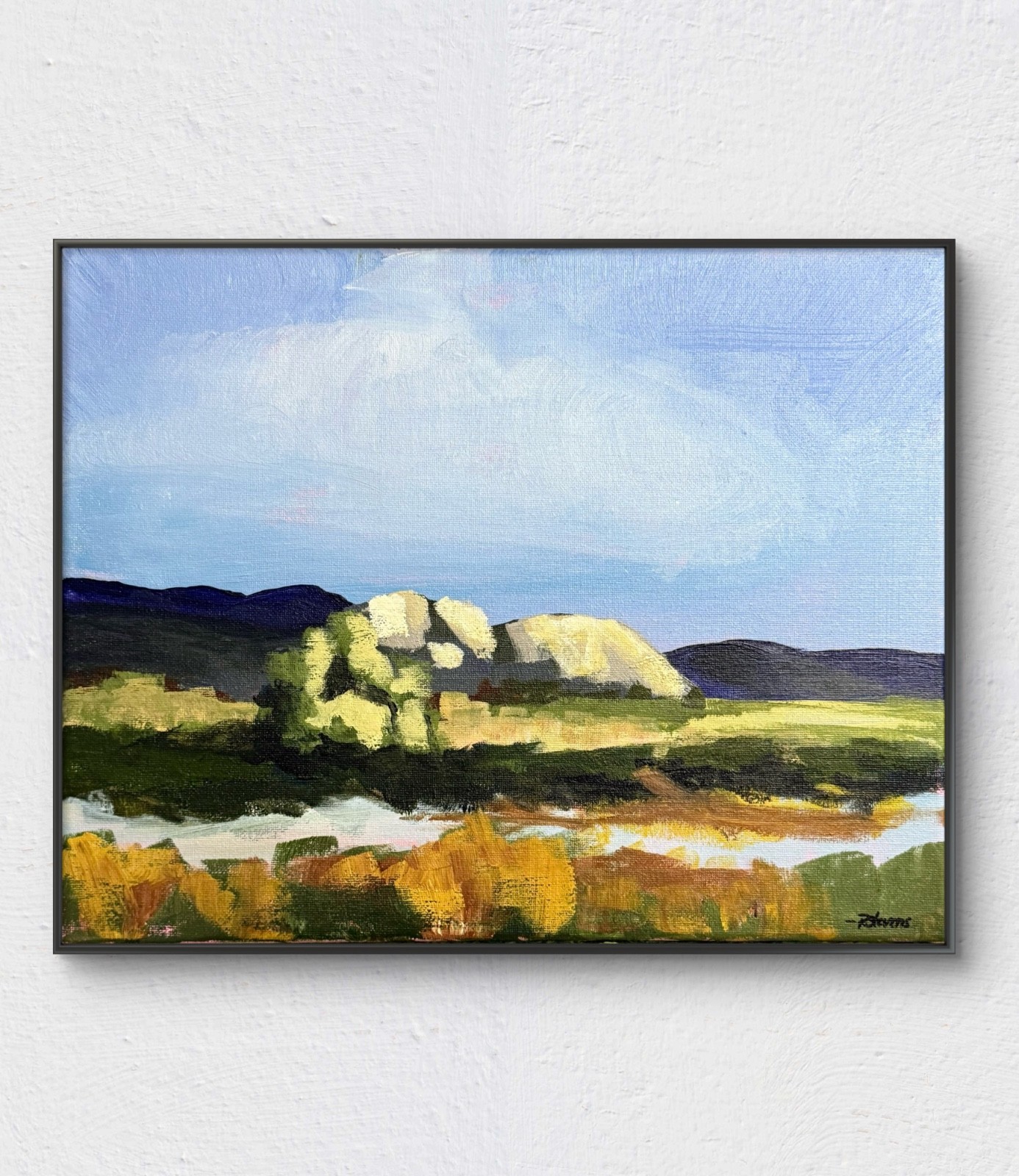 R Stevens 11×14 Original Acrylic Landscape Painting Mountain Lake Field
