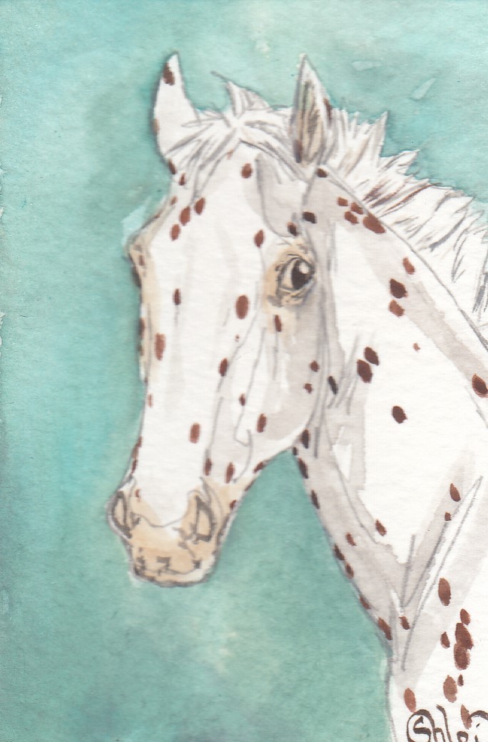 ACEO original Watercolor Art Card HORSE small sport red Leopard Appaloosa colt