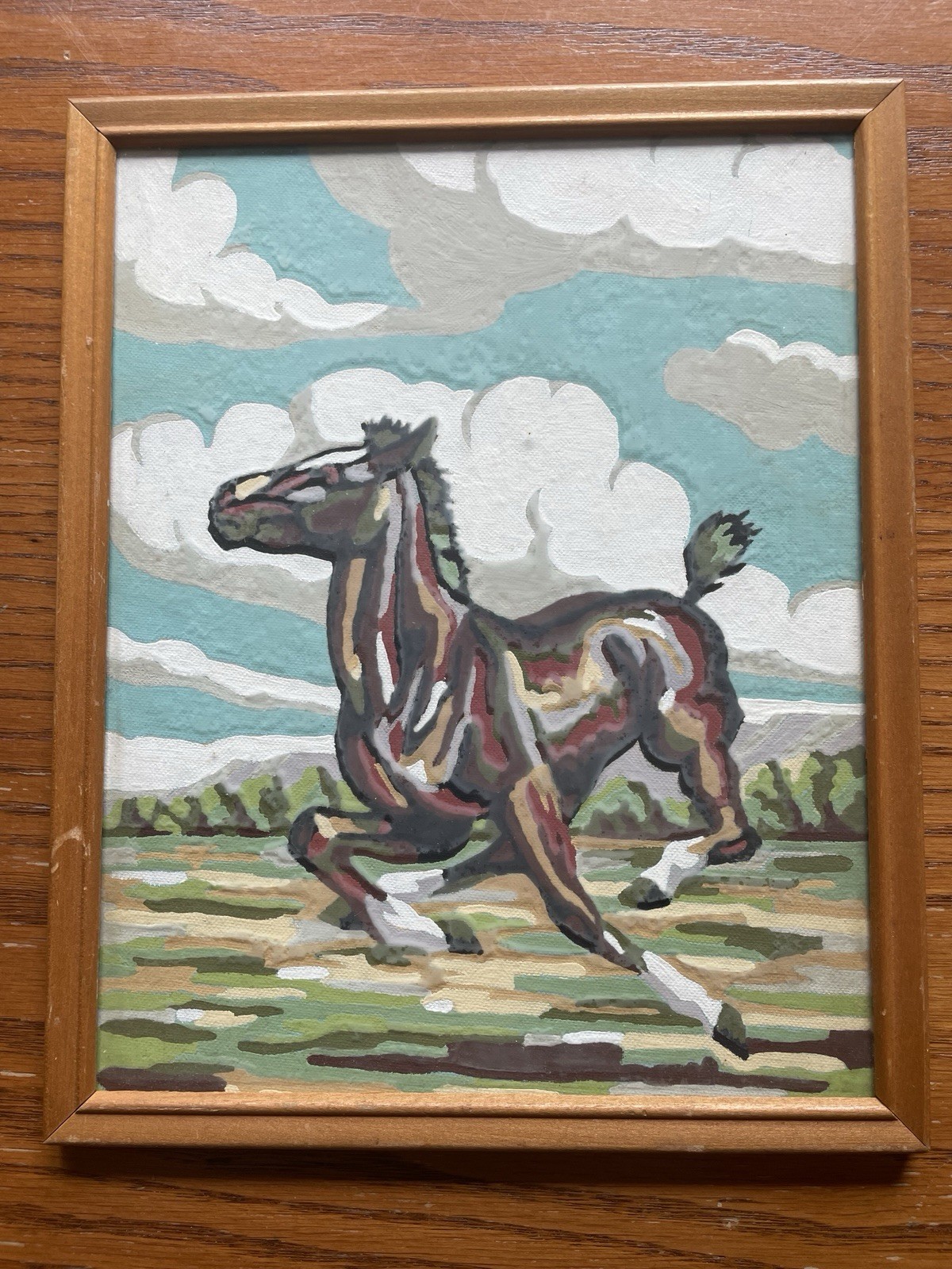 Vintage Paint By Number Horse Rustic Frame Western Decor Foal Cowboy 60s 70s MCM