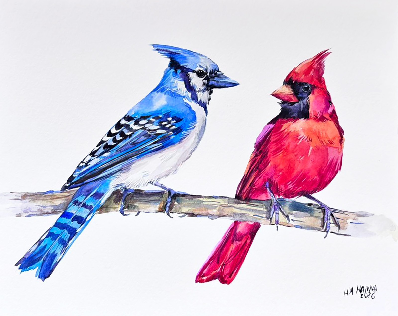 BLUE JAY AND RED CARDINAL ON BRANCH, WILDLIFE BIRD ORIGINAL WATERCOLOR PAINTING