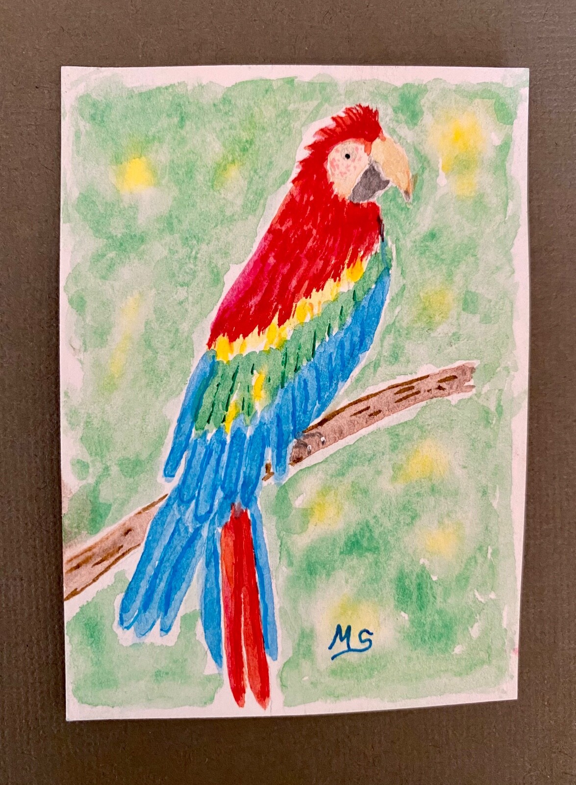 Parrot ACEO Painting Colorful Macaw Print Bird Animals Nature ATC Art