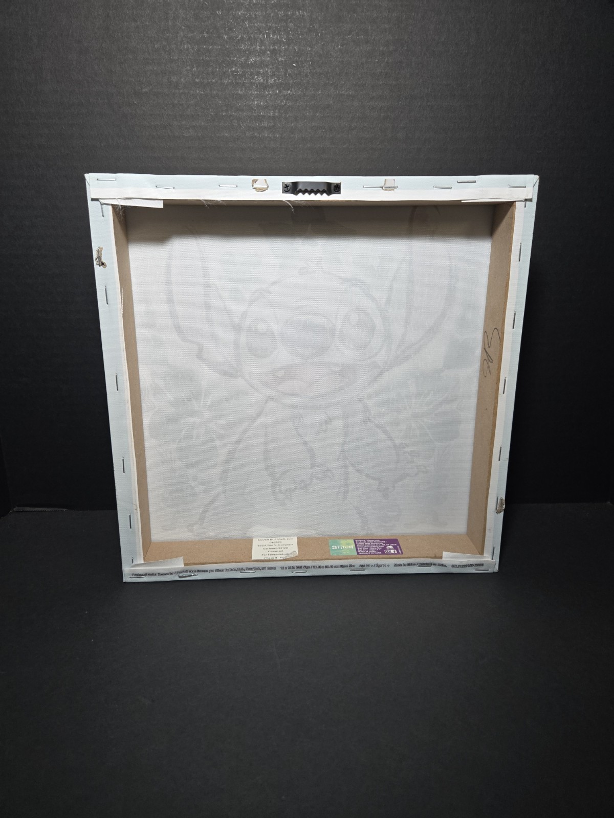 Disney Lilo & Stitch Floral Stitch Canvas Wall Art 12×12″
