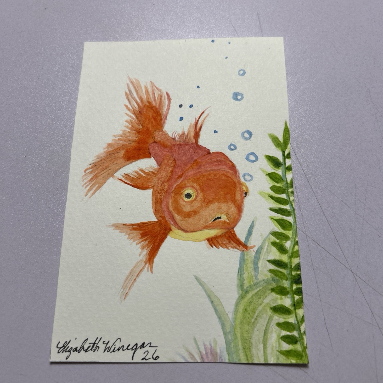 4×6 Watercolor Painting Goldfish Artist Elizabeth Winegar Free Shipping USA Only