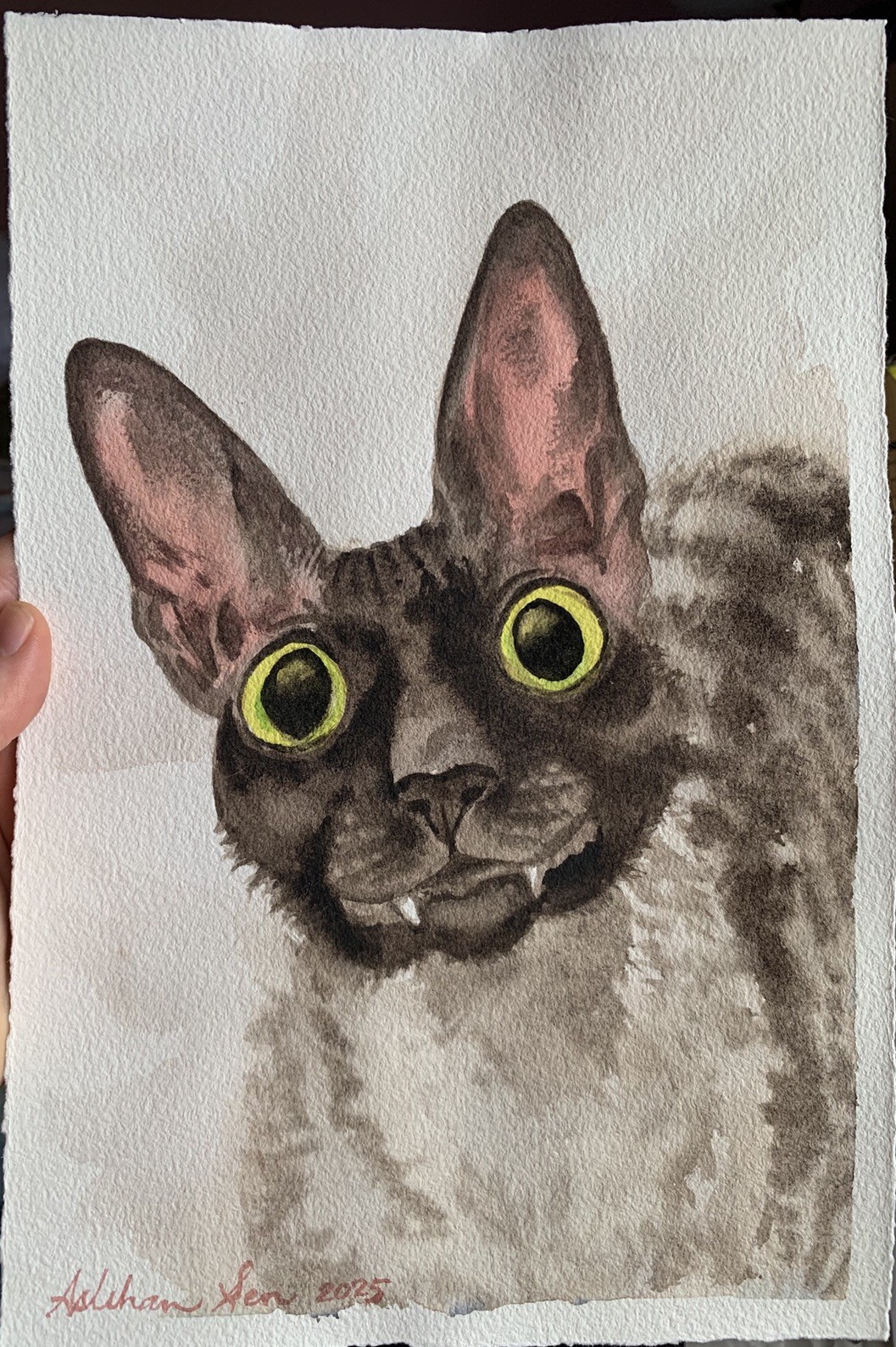 Custom pet portrait commission original watercolor painting sympathy gift art