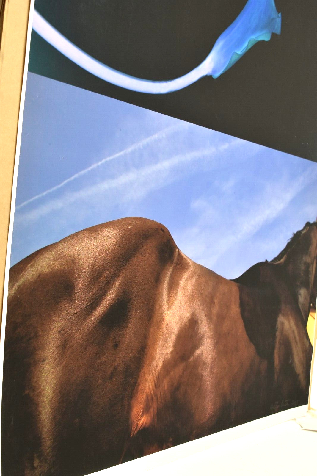 SIGNED Hilton Brothers «Valencia» Makos Solberg – Modern Fine Art Photograph
