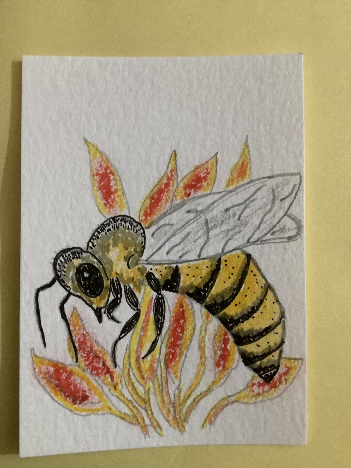 ACEO, ART CARD, OIL PASTEL, WATERCOLOR, INK, INSECT, ORIGINAL
