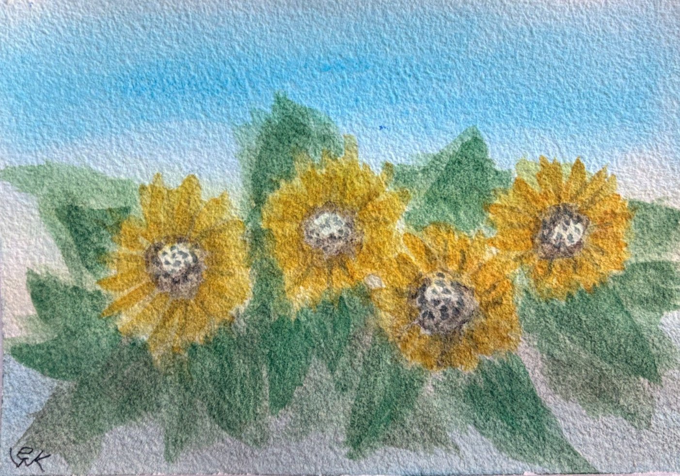Original Watercolor Painting Sunflowers Floral Landscape Meadow Signed 5×7