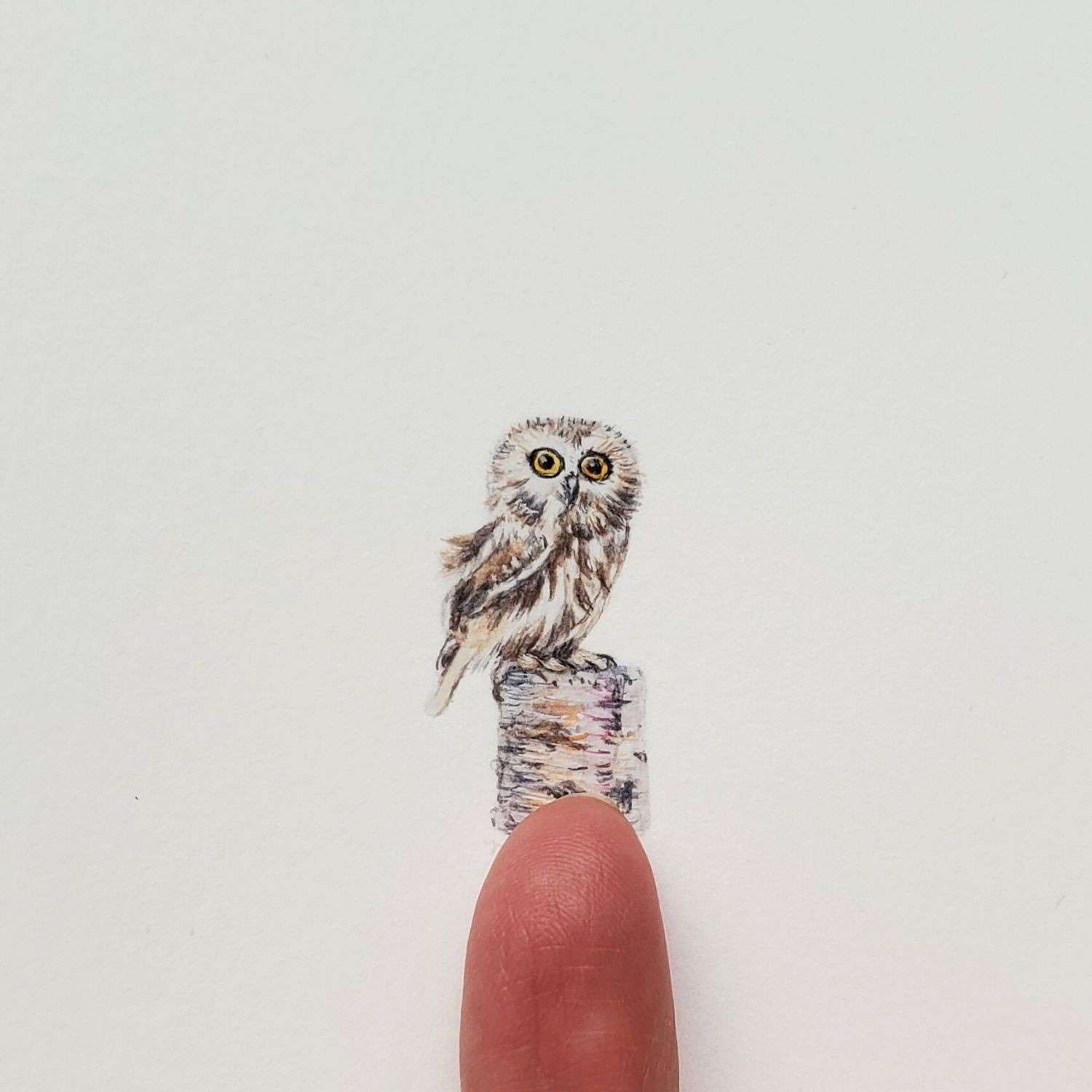 Custom Miniature Pet Portrait origin. Hand painted watercolor 1″ x 1.5″ or ACEO