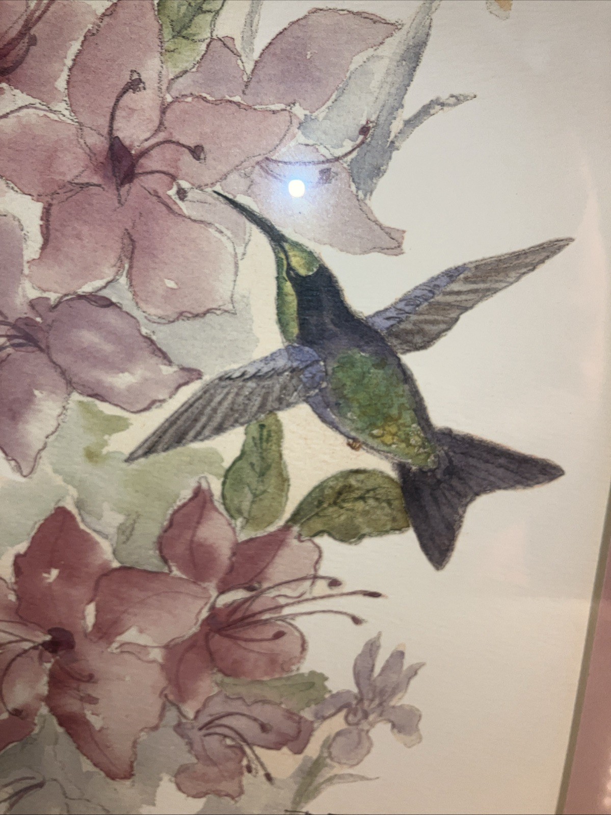 1939-2019 Phyllis Terrell Original Painting 1992 Cornelia Georgia Hummingbird