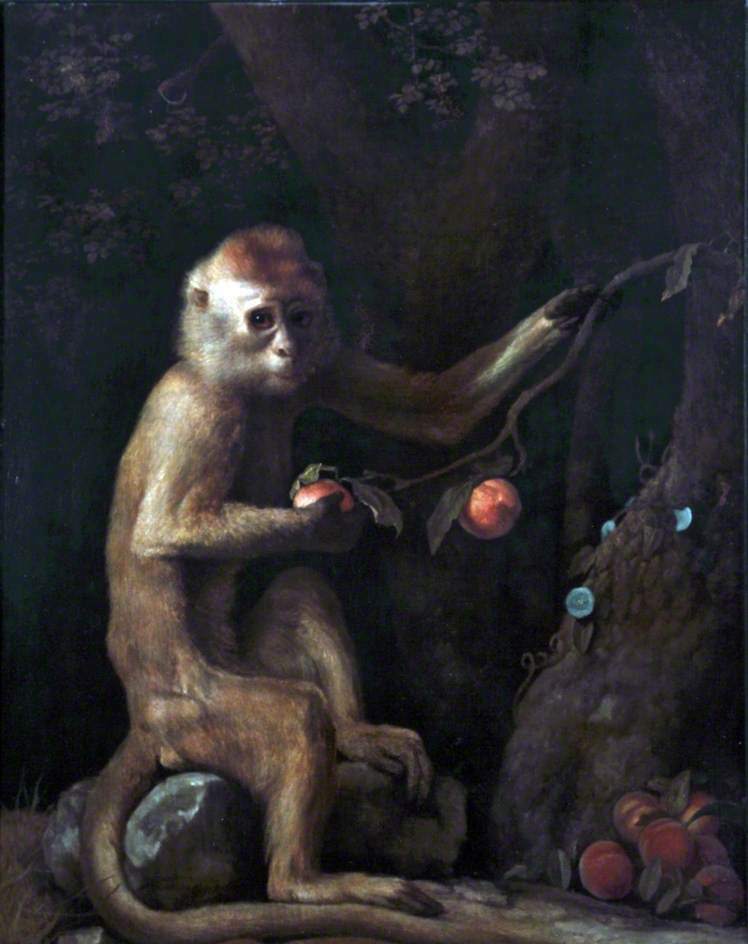George Stubbs A Monkey Oil Painting repro