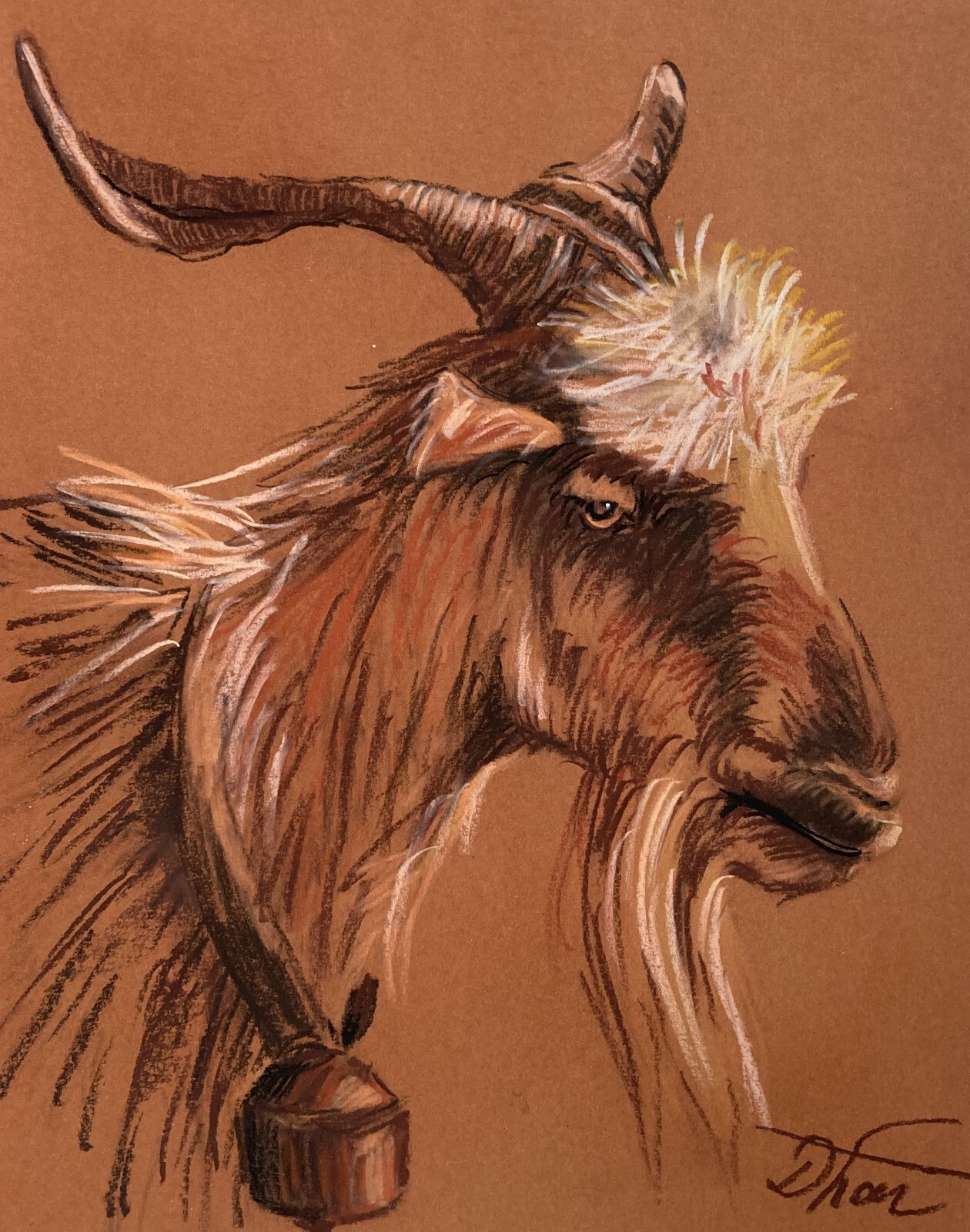 Pastel Painting Drawing Dorothy Laz goat Animals