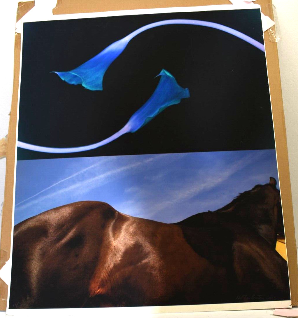 SIGNED Hilton Brothers «Valencia» Makos Solberg – Modern Fine Art Photograph