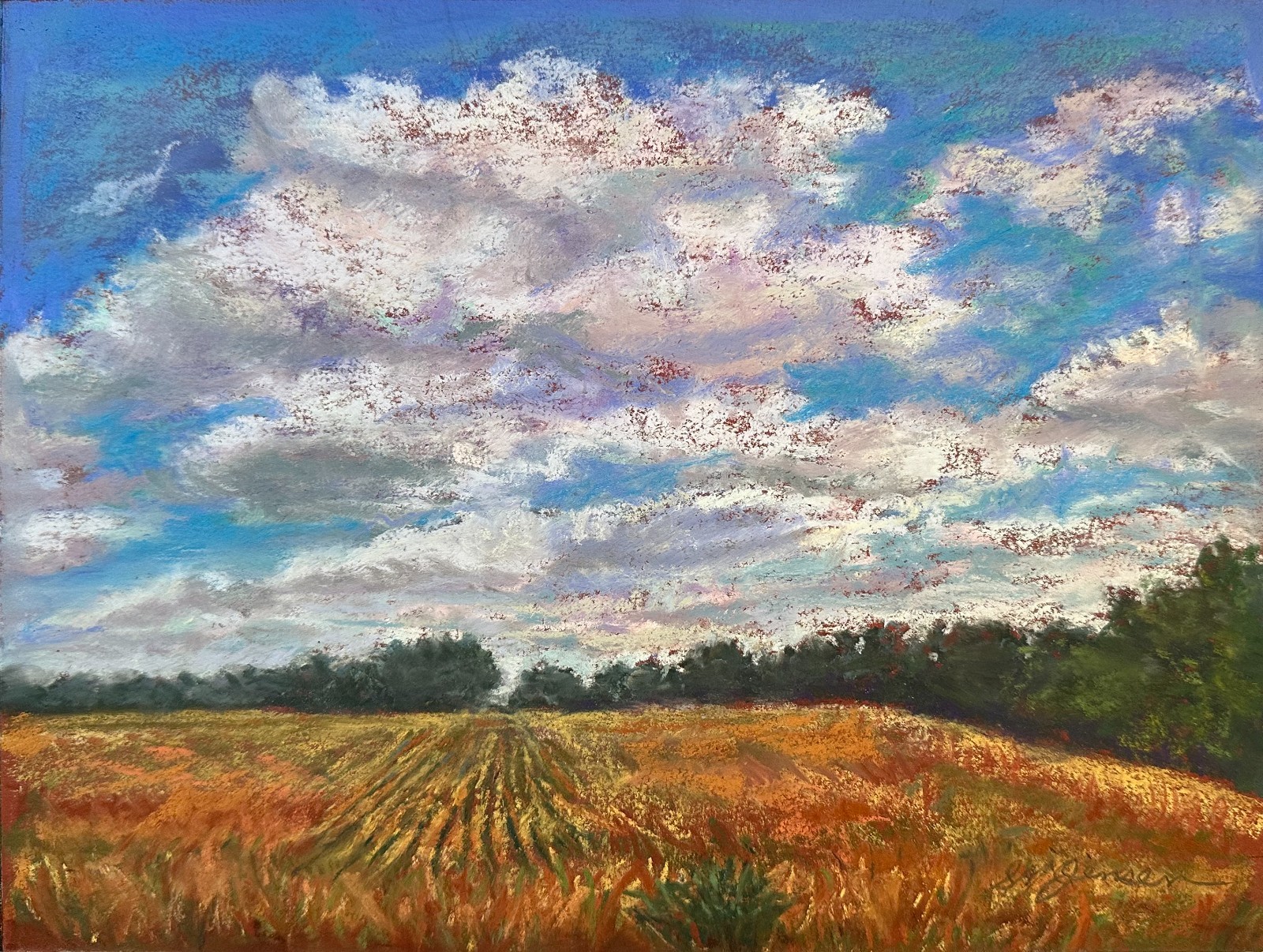 Pastel Painting «Clouded Field» New Mexico Artist Sharon Jensen Original